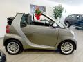 Smart Cabrio Mhd 2011