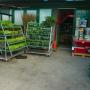 Piantine da orto