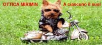 Mirimin Foto Ottica