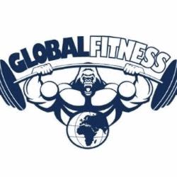 Palestra Global Fitness ssd arl