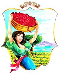 Regina Del Pomodoro SRL