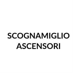 Scognamiglio Ascensori