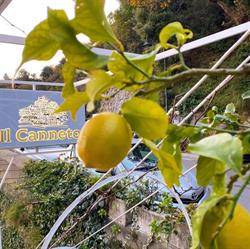 Il Canneto Di Rianna Pantaleone & F.lli Sas
