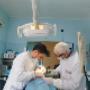 Gallery Professionale