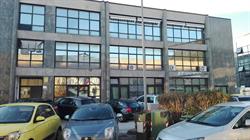 Zigote SRL