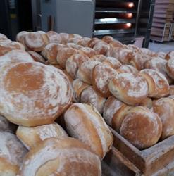 Panificio Altieri Srl Aniello