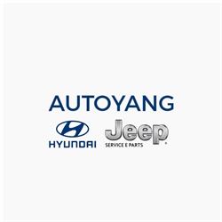 AUTOYANG S.R.L.