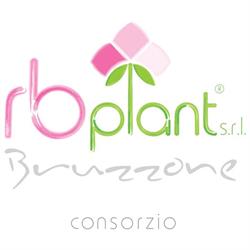 RB Plant