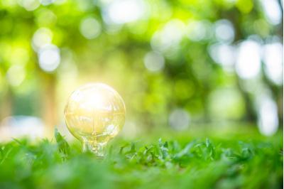 La-transizione-green