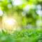 La-transizione-green