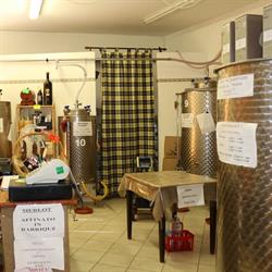 La Bottega del Vino