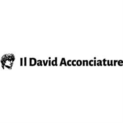 Il David Acconciature