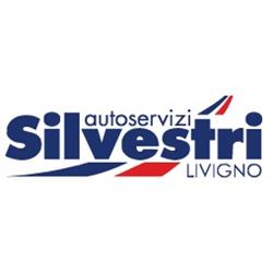 Autoservizi Silvestri