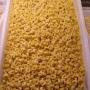 Orecchiette Pastificio Conte