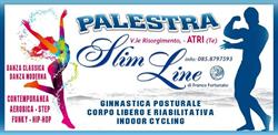 Palestra Slim Line