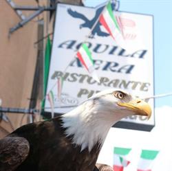 Aquila Nera Ristorante