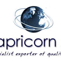 Capricorn S.r.l.