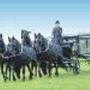 Funerali con Carrozza e Cavalli