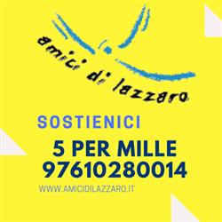 Associazione Amici Di Lazzaro
