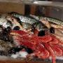 Pesce Fresco
