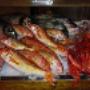 Ristorante con Specialità Pesce