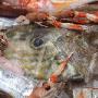 Menu di Pesce