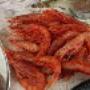Crostacei