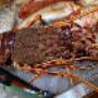 Specialità Pesce Mare
