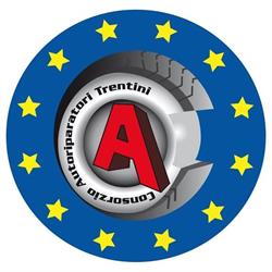 Consorzio Autoriparatori Artigiani Dell'Alta Valsugana Revisioni E Servizi