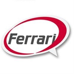 Ferrari Service