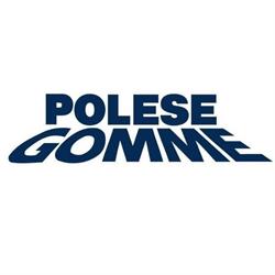 Polese Gomme SRL