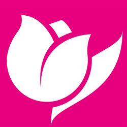Il Tulipano S.N.C. Di Il Tulipano S.R.L.