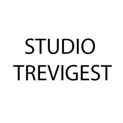 Studio Trevigest
