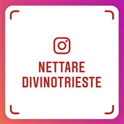 Nettare Divino Di Matteo Benet & C. SAS