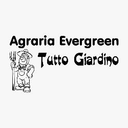 Agraria Evergreen