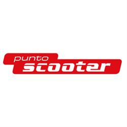 Puntoscooter Assistenza Riparazioni