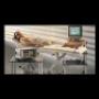 Studio Medico Endocrinologia Marcolongo