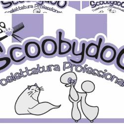 Scoobydoo Toelettatura Professionale
