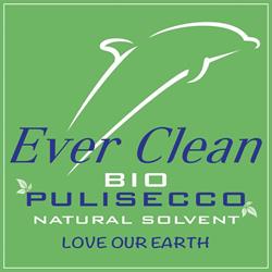 Bio Pulisecco Ever Clean