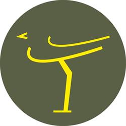 Camping Marina Di Venezia