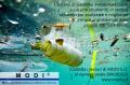 ISO-14001