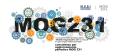 consulenza Decreto Whistleblowing per aziende con Modello di Organizzazione e Gestione