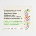 Realizzazione di un modello di organizzazione e gestione D.LGS 231