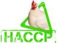 haccp