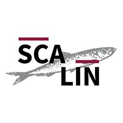 Osteria Scalin