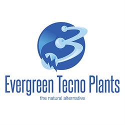 Evergreen Tecno Plants