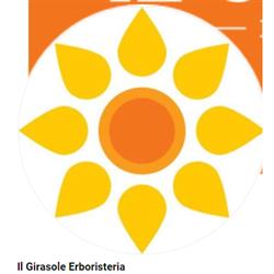 Erboristeria Il Girasole di Nardi Francesca
