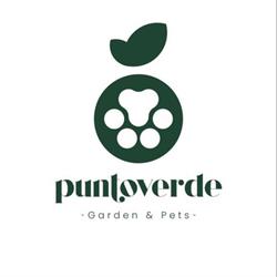 Punto Verde