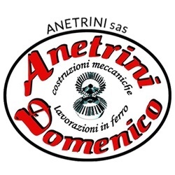 Anetrini Sas