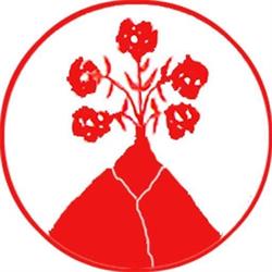 Procacci SRL